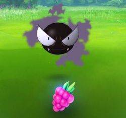 Çilek ile sevgisi kazanılmak istenen bir Gastly.