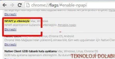 npapi-etkinlestir