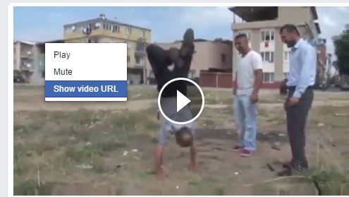 Facebook’tan Programsız Nasıl Video İndirilir ?