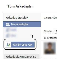 Facebook'ta Eklediğim Arkadaşları Kimse Görmesin-1