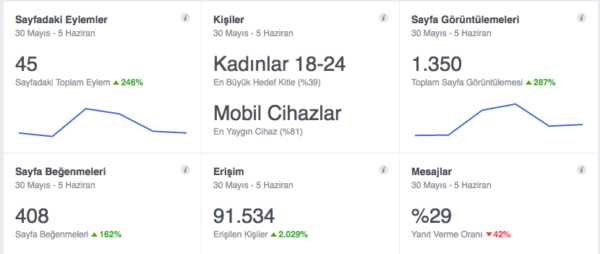 facebook-platform-istatistikleri