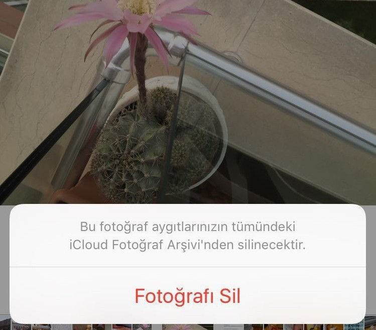 iCloud Fotoğraf Arşivi Kullanım Rehberi4