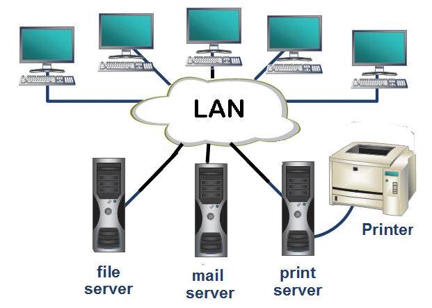 Network Nedir ?