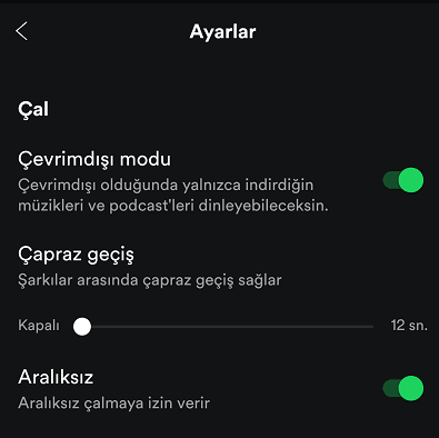 Spotify Offline Müzik Dinleme 