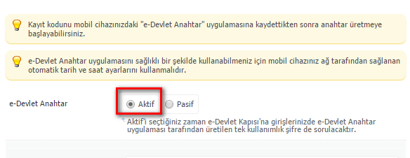 e-devlet anahtar kullanımı