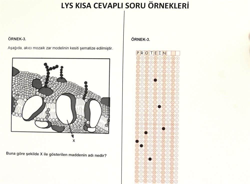 Açık Uçlu Soru Nedir 