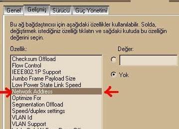 IP Adresi, MAC Adresi Nedir