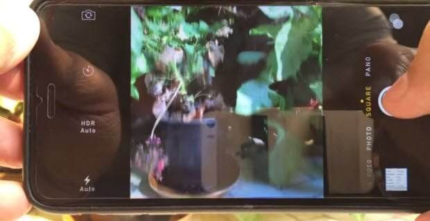 iPhone Kamera Sorunları ve Çözümleri iPhone Kamera Sorunları ve Çözümleri