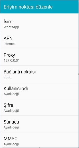 İnternetsiz WhatsApp Kullanma Nasıl Yapılır ?