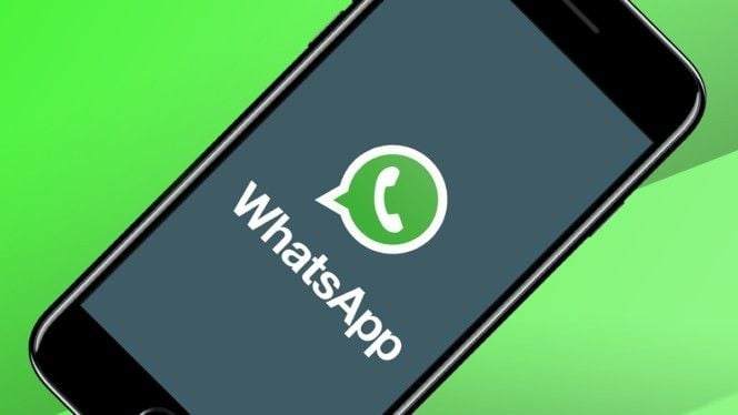 Whatsapp Hesap Bilgilerini Talep et Nedir ?