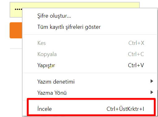 Yıldızlı Şifreleri Görme