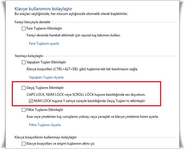 Ekranda Caps Lock Açık Kapalı Uyarısı Gösterme