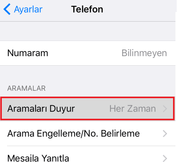 iphone arayanın adını söyleme kapatma