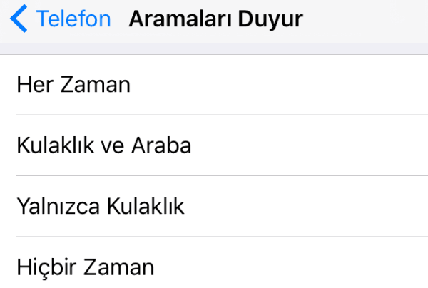 iphone arayanın adını söyleme kapatma