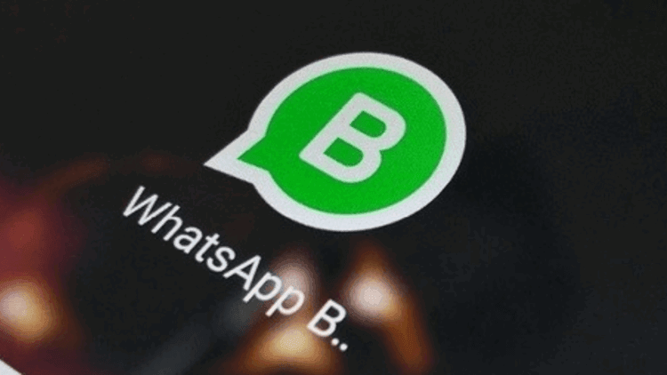 whatsapp business indir