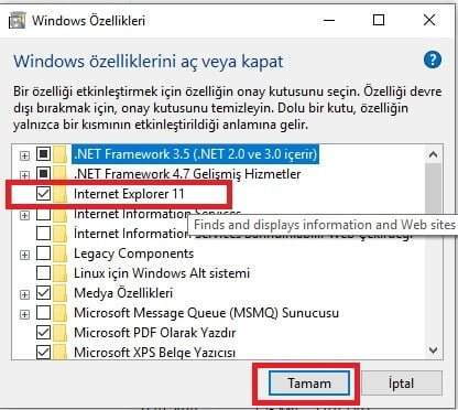 Internet Explorer Kaldırma Windows 10