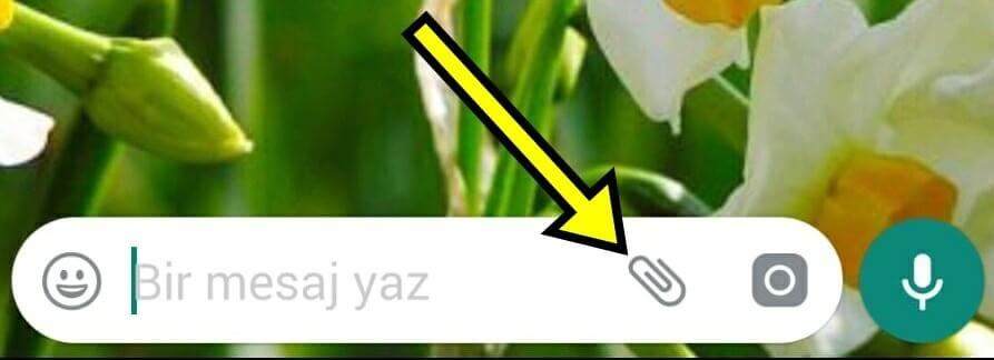 Whatsapp Konum Gönderme