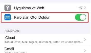 iOS'ta kayıtlı şifreleri görme,iPhone kayıtlı şifreleri görme,Telefonda kayıtlı şifreleri görme