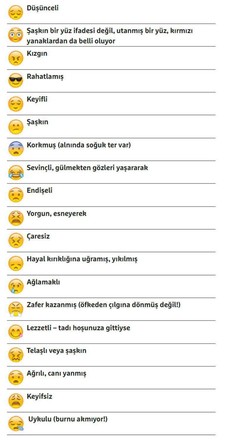 Emojilerin Anlamları