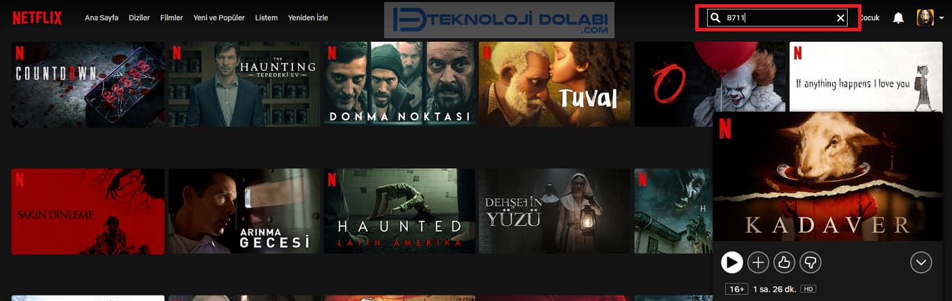 Netflix Film Kodları