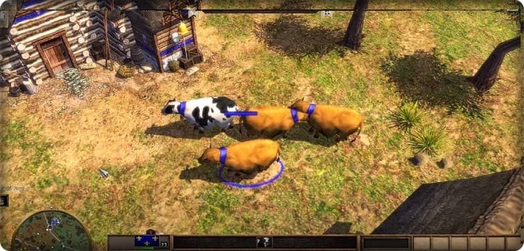 Age of Empires 3 Hile Kodları