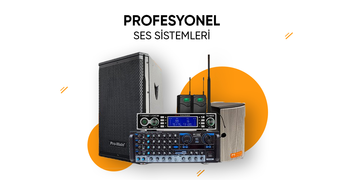 Profesyonel Ses Sistemi Nedir?