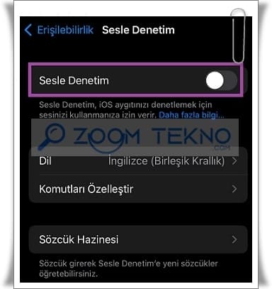 Sesle Denetimi Kullanarak iPhone'un Kilidini Açma