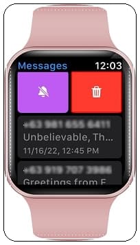 Apple Watch'taki Tüm Mesajlar Nasıl Silinir?
