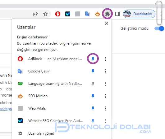 Chrome Uzantı Sabitleme