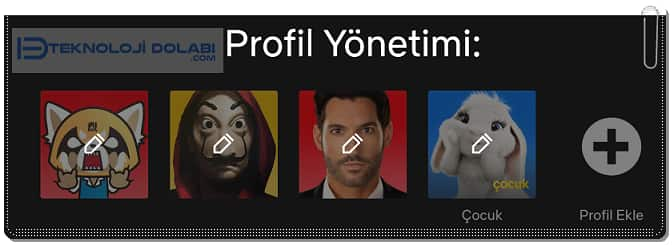 Netflix Profili Nasıl Silinir?