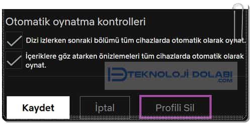 Netflix Profili Nasıl Silinir?