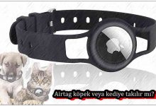 Airtag Köpek veya Kediye Takılır Mı?