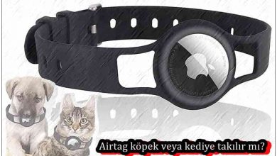 Airtag Köpek veya Kediye Takılır Mı?