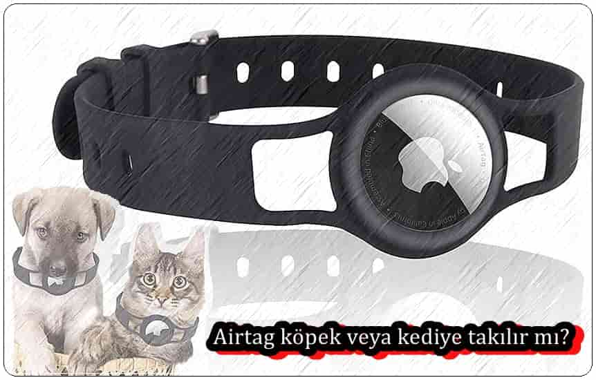 Airtag Köpek veya Kediye Takılır Mı?